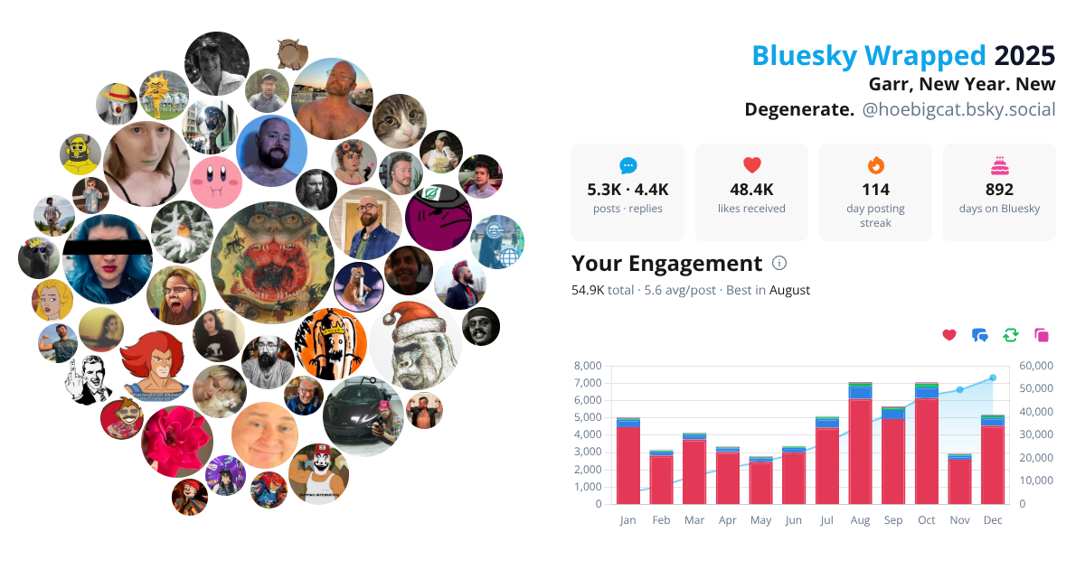 Your Bluesky Wrapped 2025 preview
