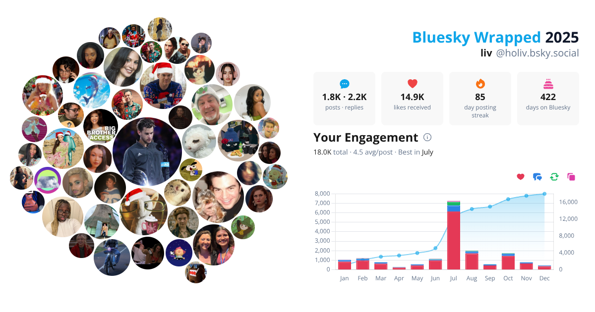 Your Bluesky Wrapped 2025 preview