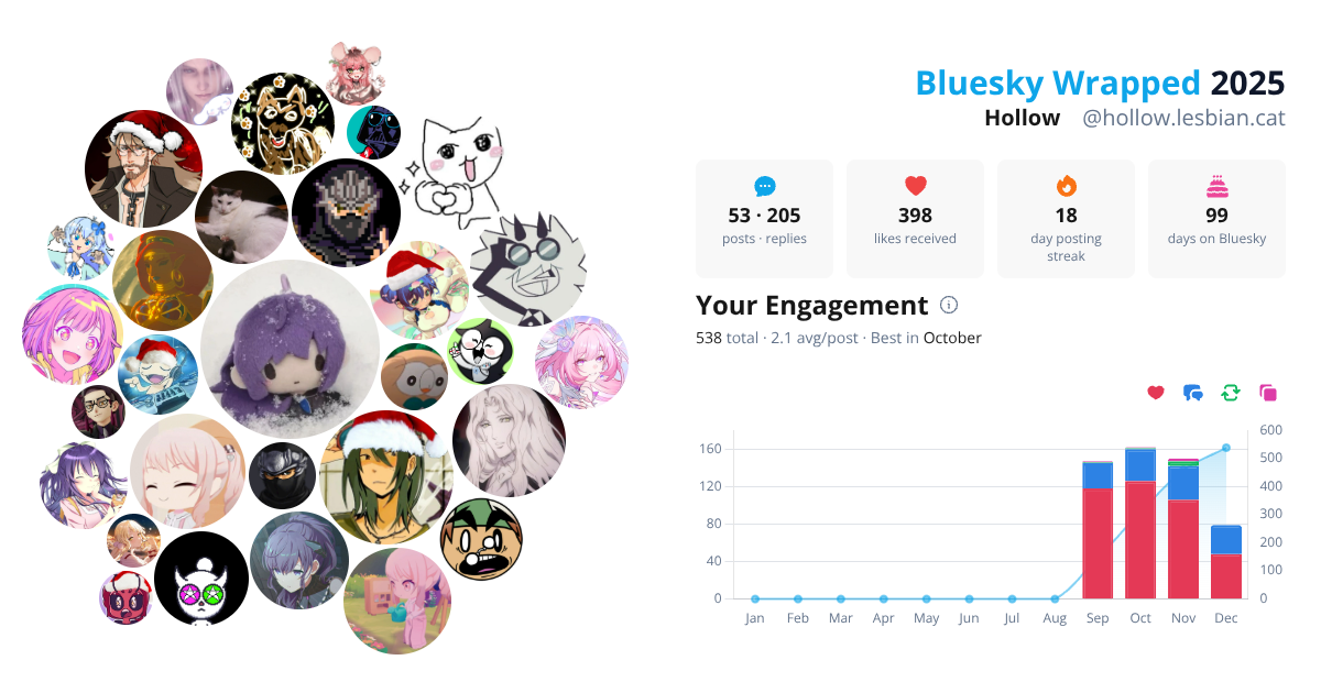 Your Bluesky Wrapped 2025 preview