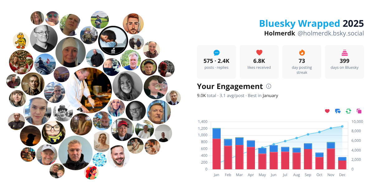 Your Bluesky Wrapped 2025 preview