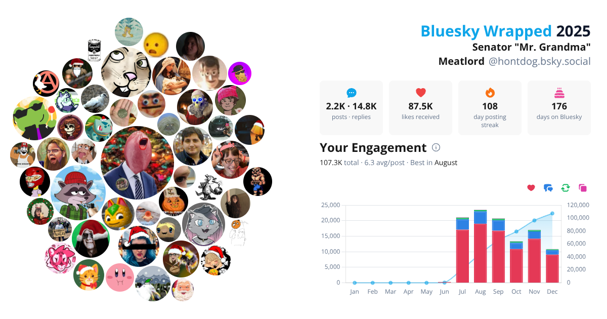 Your Bluesky Wrapped 2025 preview