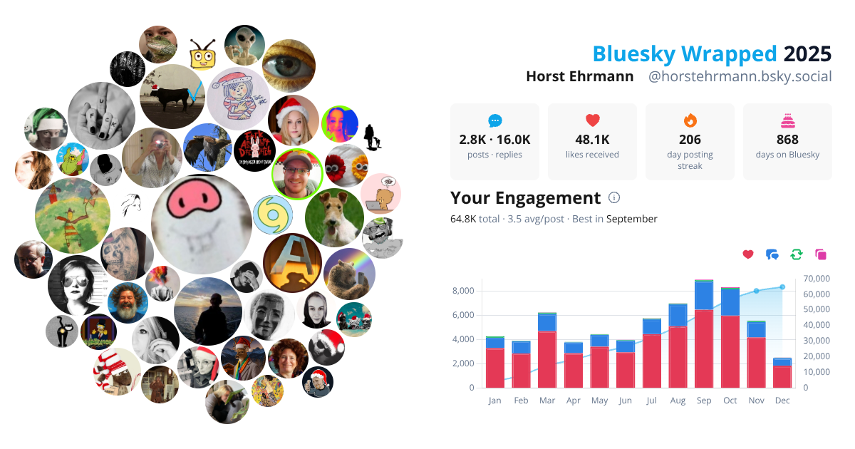 Your Bluesky Wrapped 2025 preview