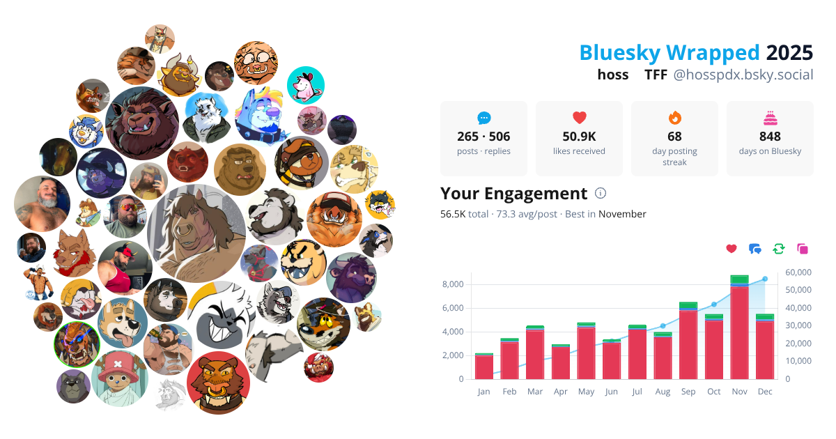 Your Bluesky Wrapped 2025 preview