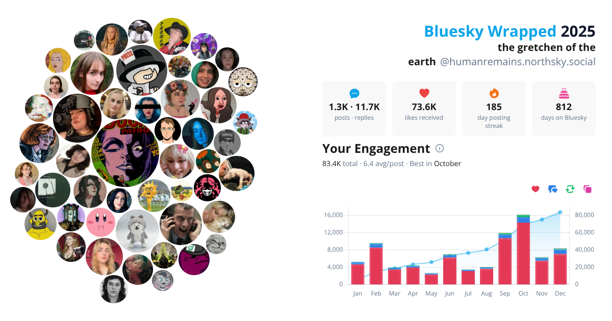 Your Bluesky Wrapped 2025 preview