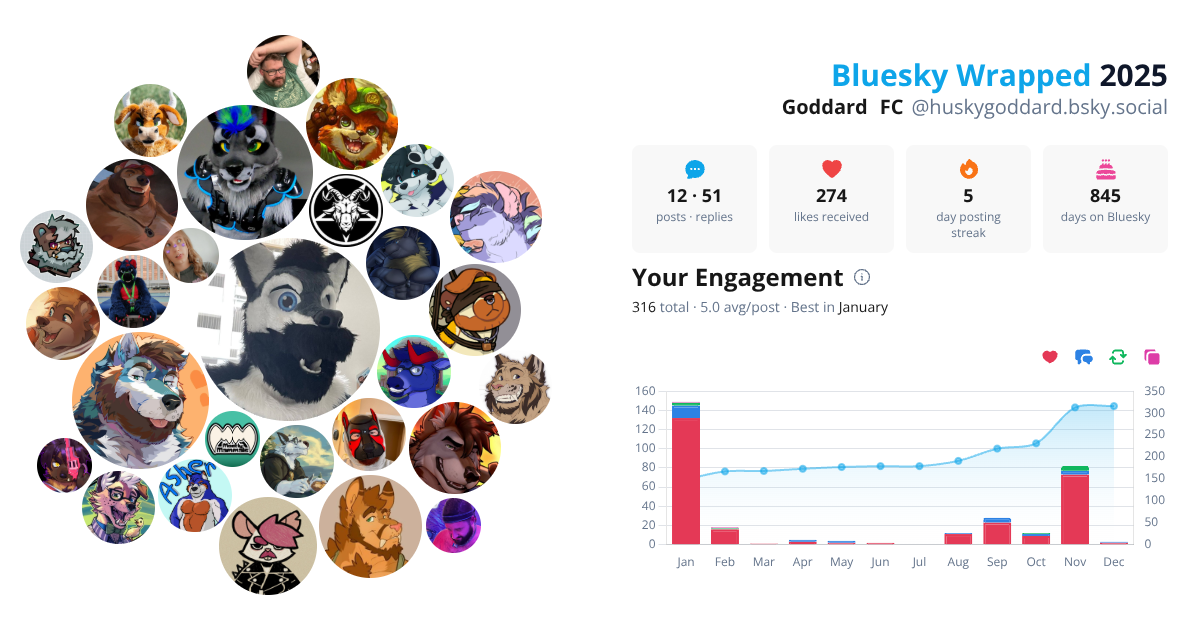 Your Bluesky Wrapped 2025 preview