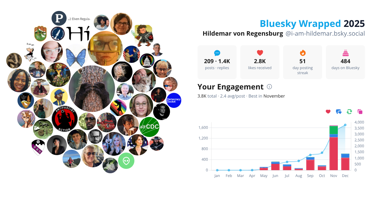 Your Bluesky Wrapped 2025 preview