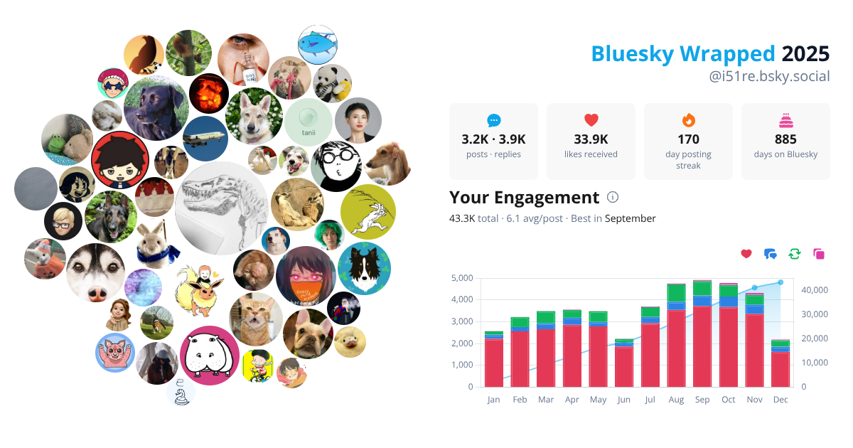 Your Bluesky Wrapped 2025 preview
