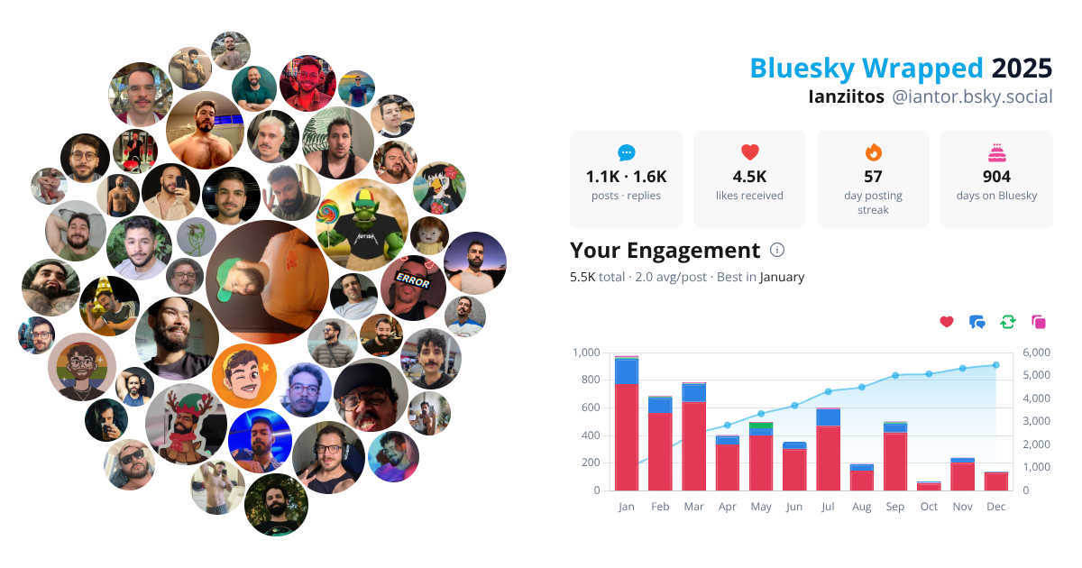 Your Bluesky Wrapped 2025 preview