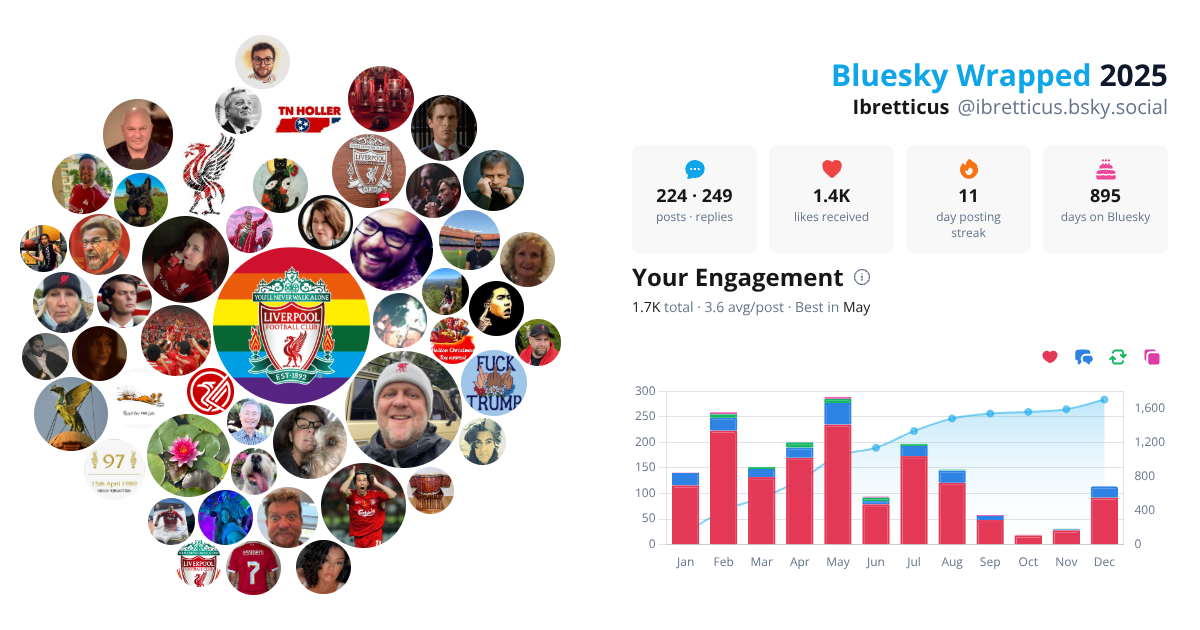 Your Bluesky Wrapped 2025 preview