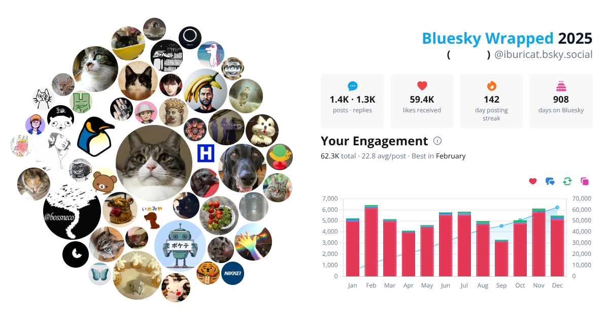 Your Bluesky Wrapped 2025 preview