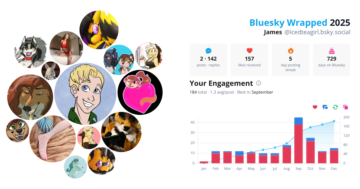 Your Bluesky Wrapped 2025 preview