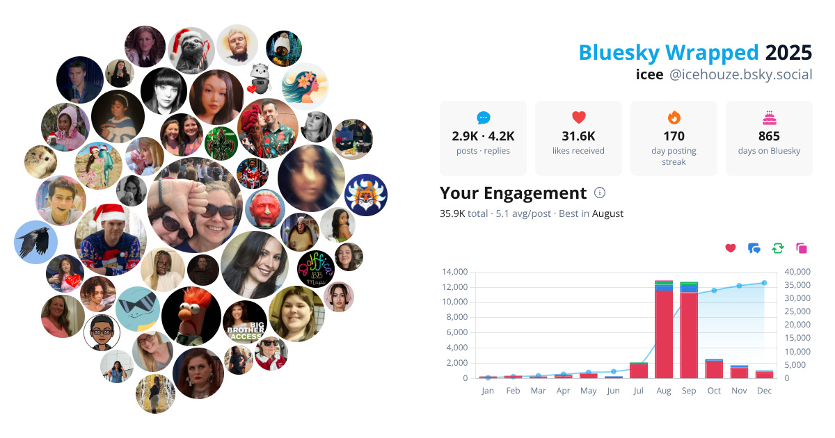 Your Bluesky Wrapped 2025 preview