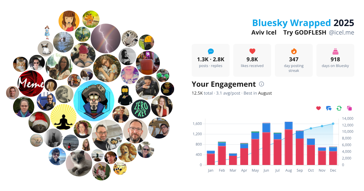 Your Bluesky Wrapped 2025 preview