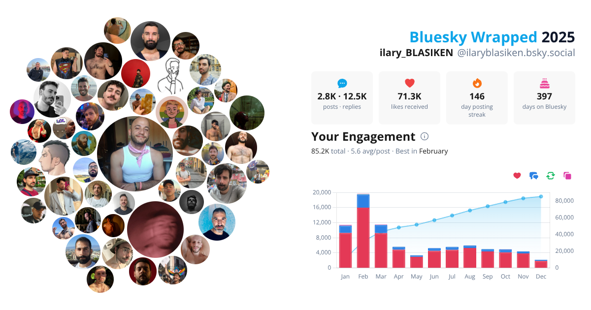 Your Bluesky Wrapped 2025 preview