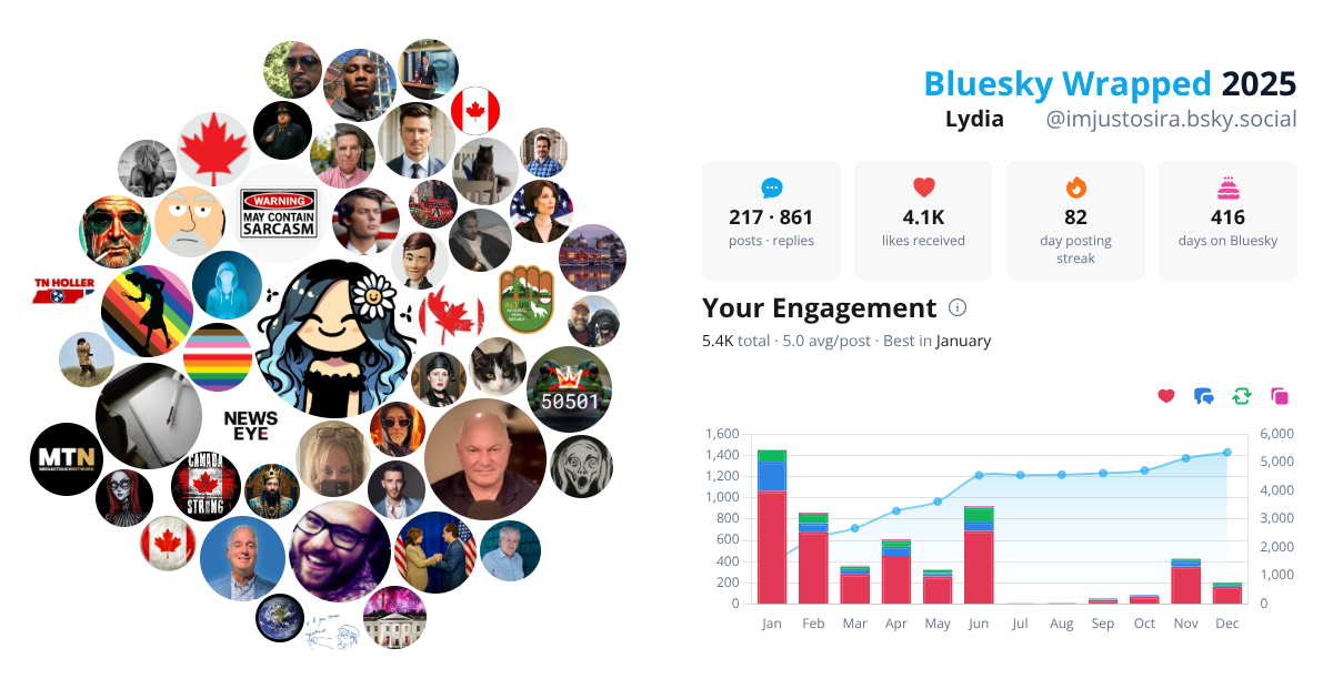 Your Bluesky Wrapped 2025 preview