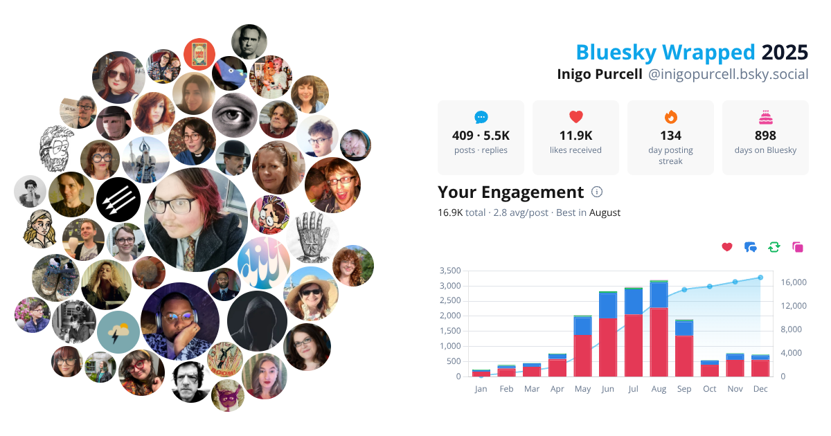 Your Bluesky Wrapped 2025 preview
