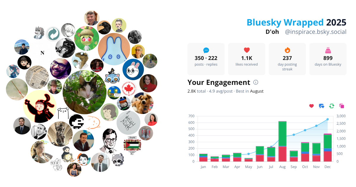 Your Bluesky Wrapped 2025 preview