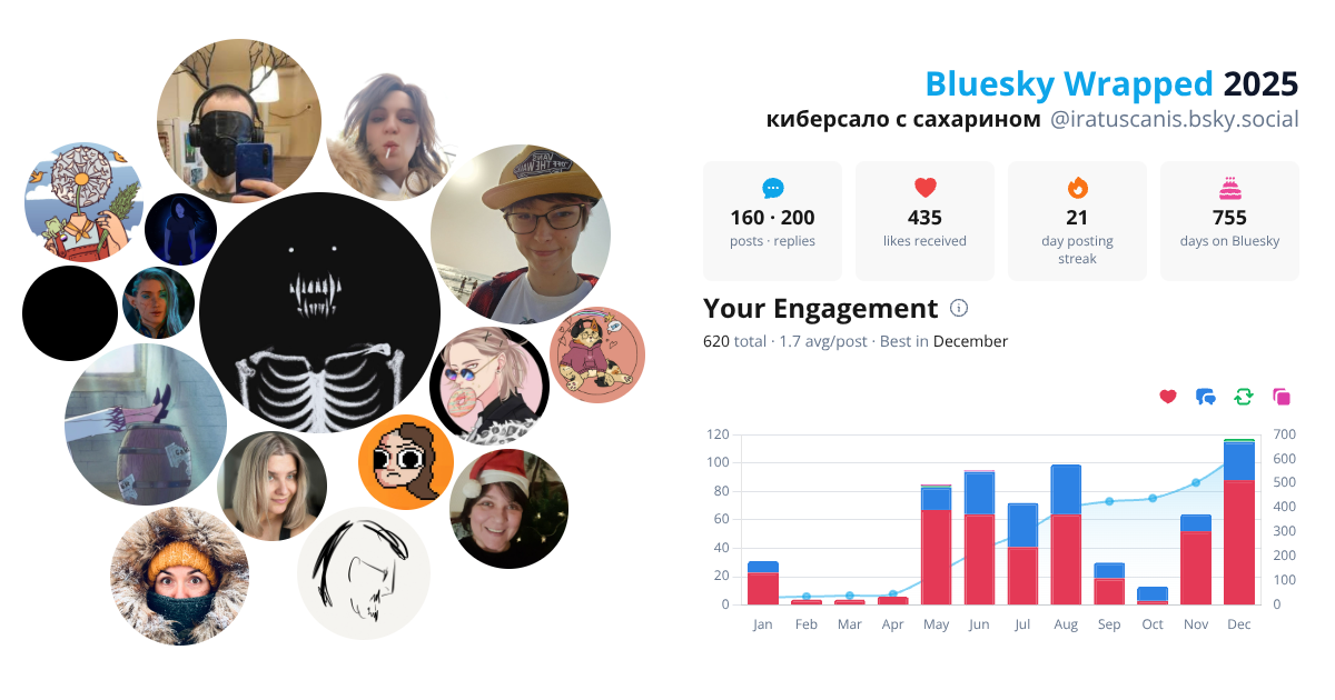 Your Bluesky Wrapped 2025 preview