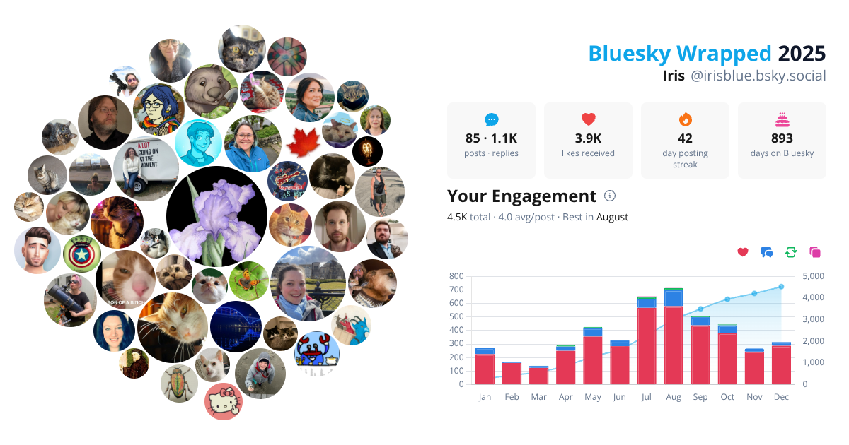 Your Bluesky Wrapped 2025 preview
