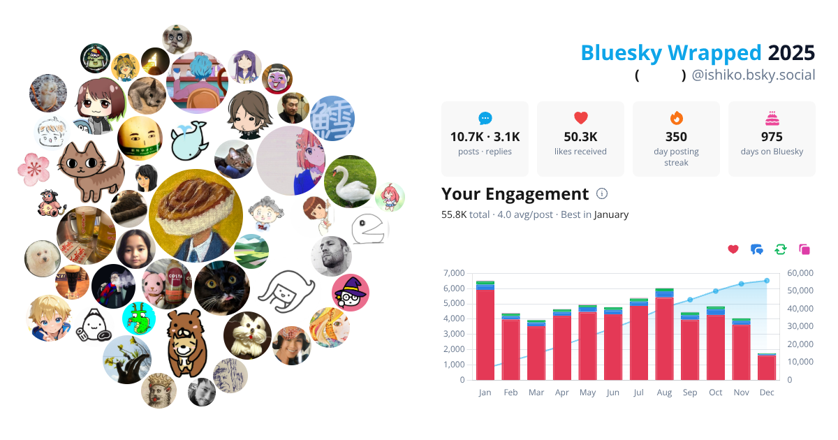 Your Bluesky Wrapped 2025 preview