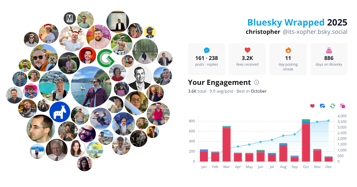 Your Bluesky Wrapped 2025 preview