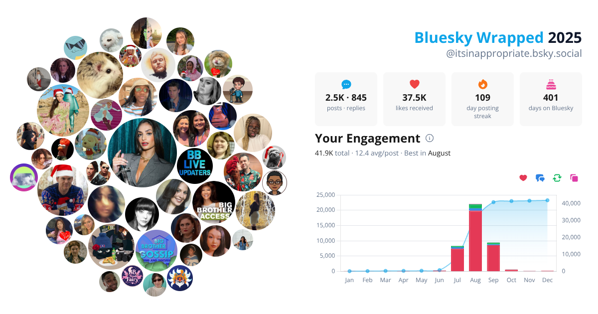 Your Bluesky Wrapped 2025 preview