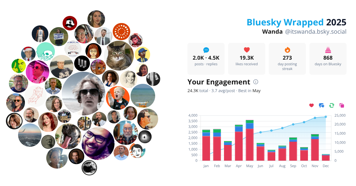Your Bluesky Wrapped 2025 preview