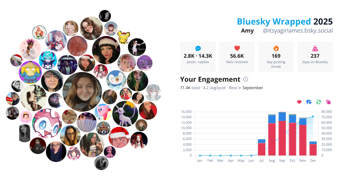 Your Bluesky Wrapped 2025 preview