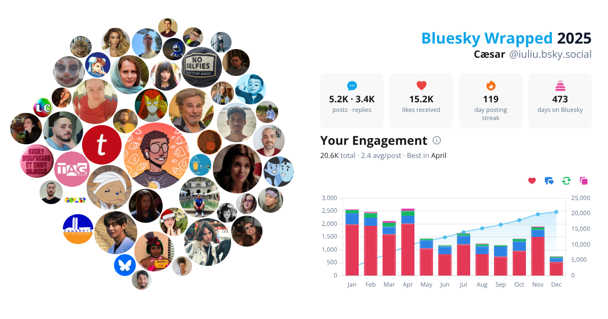 Your Bluesky Wrapped 2025 preview