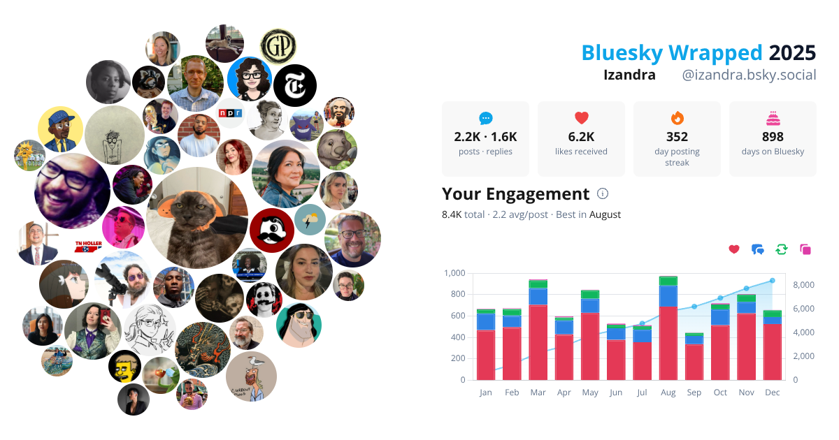Your Bluesky Wrapped 2025 preview