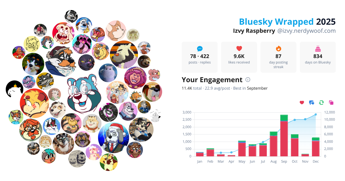 Your Bluesky Wrapped 2025 preview