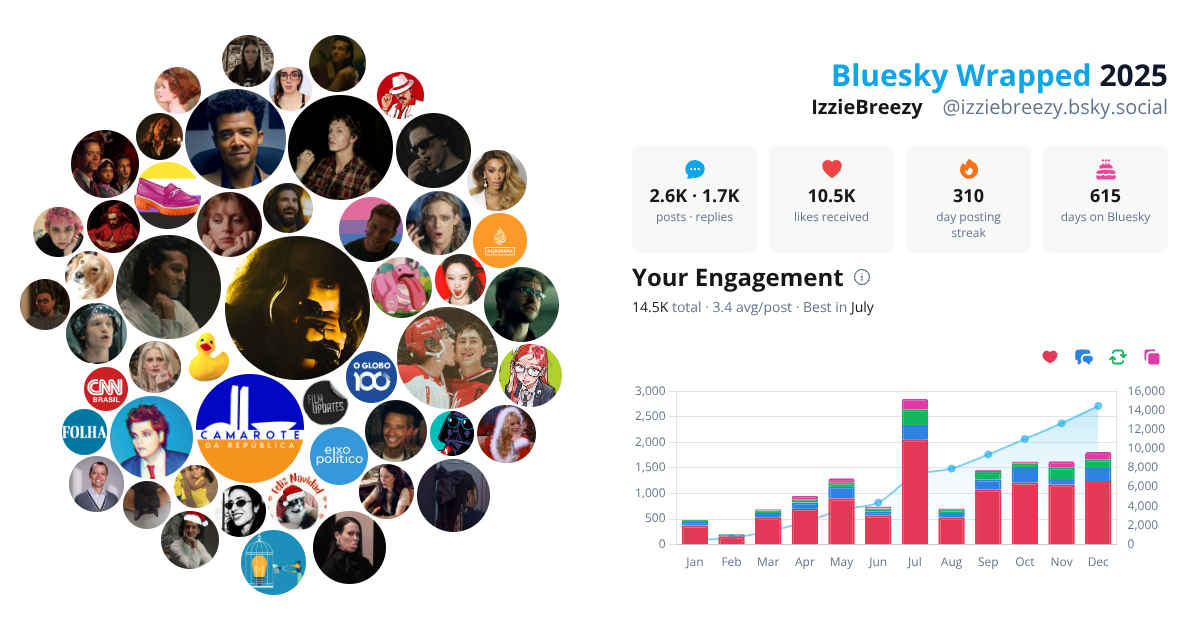 Your Bluesky Wrapped 2025 preview