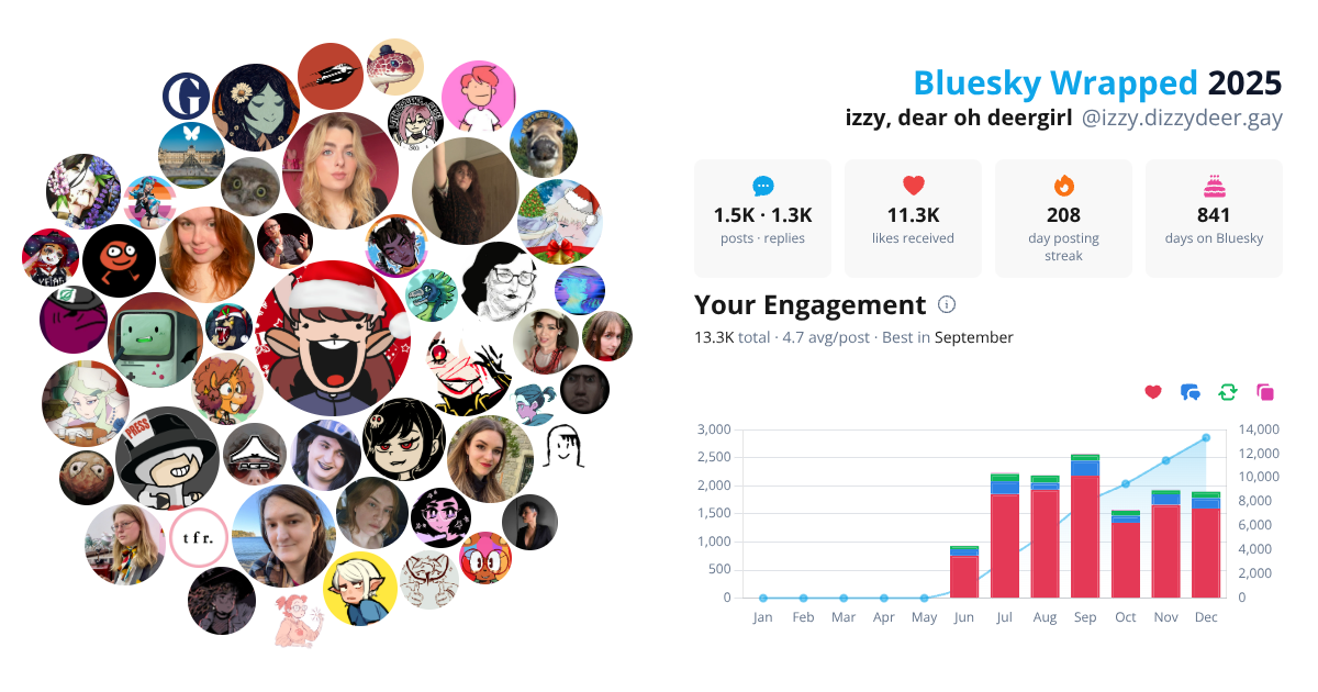 Your Bluesky Wrapped 2025 preview