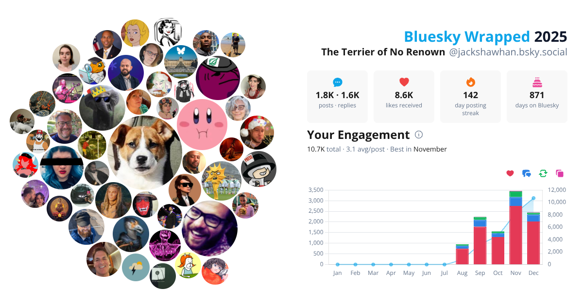 Your Bluesky Wrapped 2025 preview
