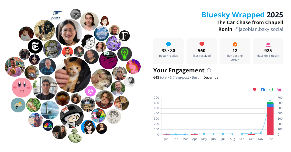 Your Bluesky Wrapped 2025 preview