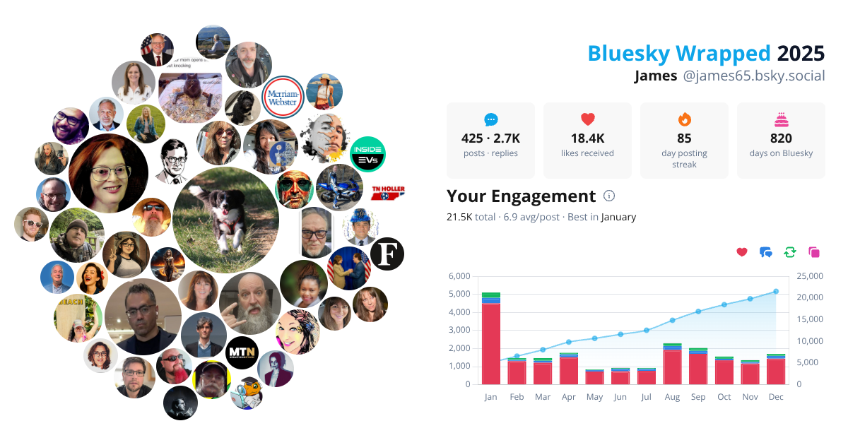 Your Bluesky Wrapped 2025 preview