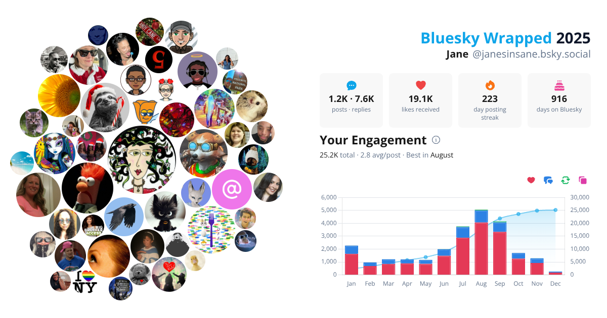 Your Bluesky Wrapped 2025 preview