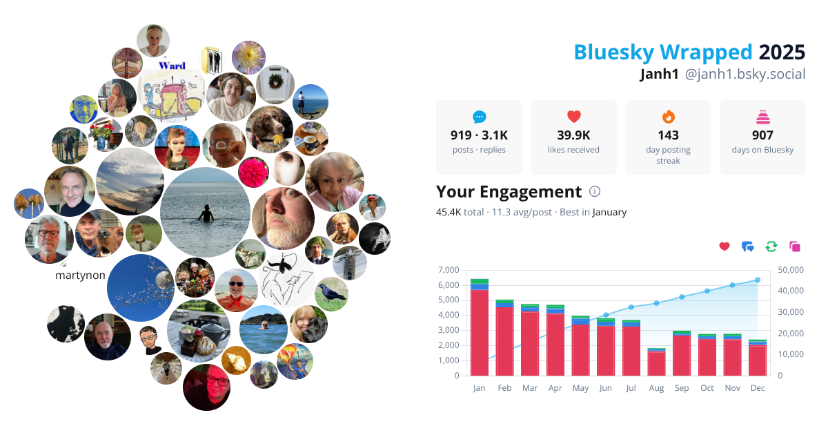 Your Bluesky Wrapped 2025 preview