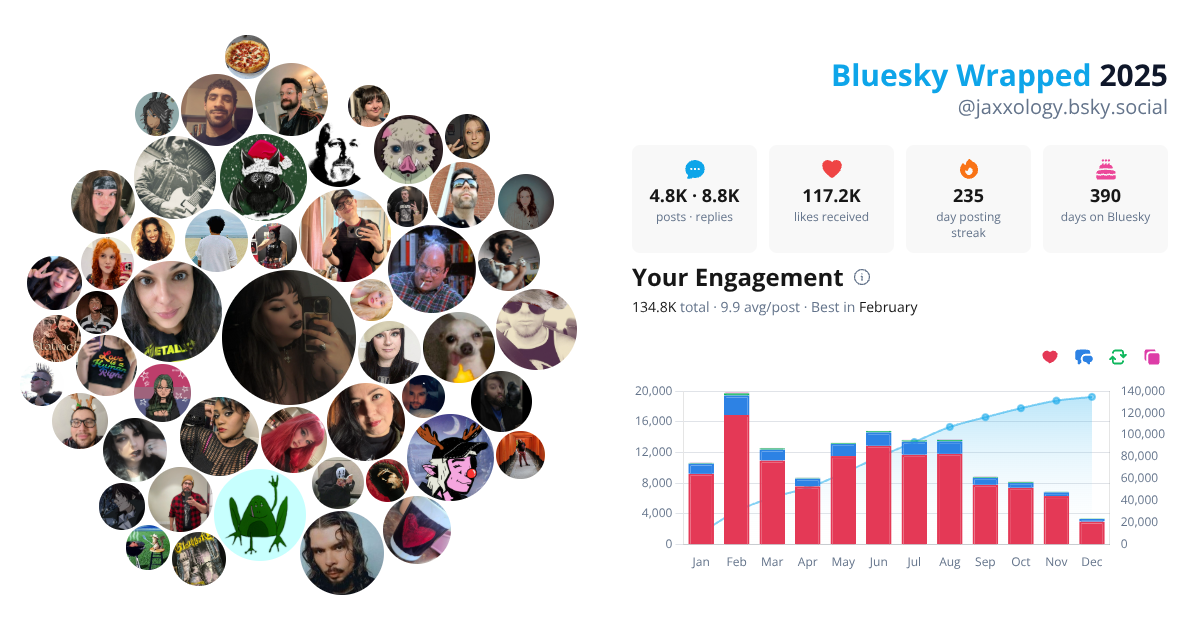 Your Bluesky Wrapped 2025 preview