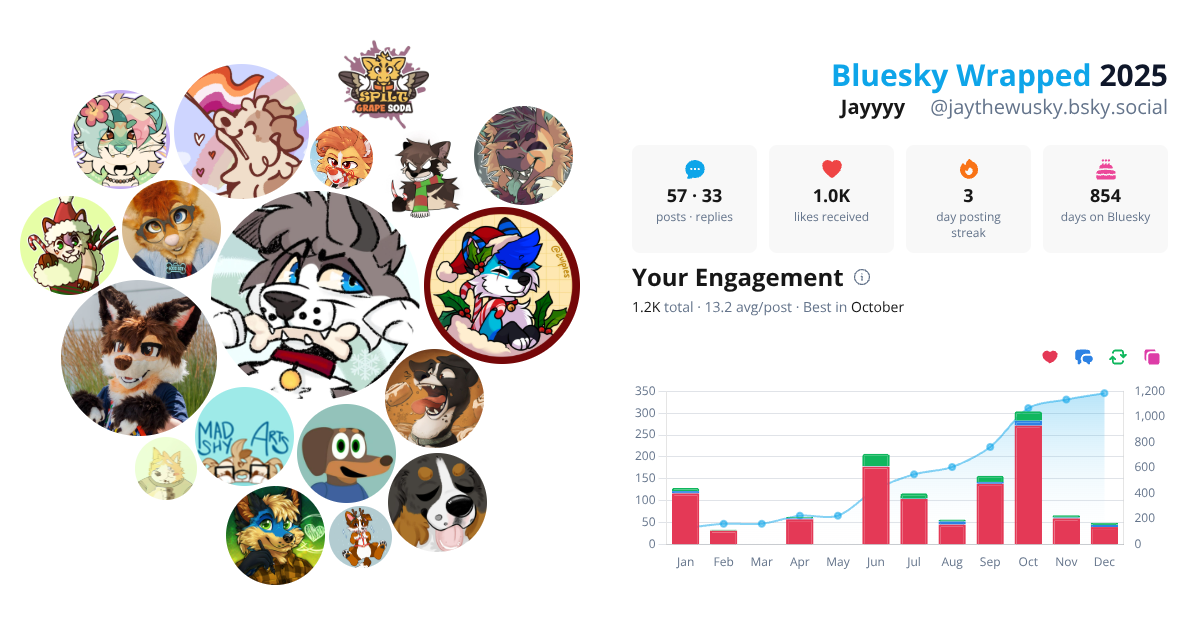 Your Bluesky Wrapped 2025 preview