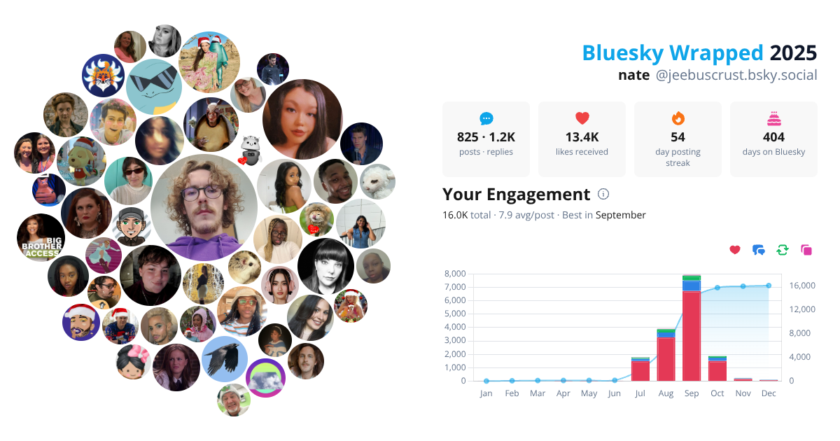 Your Bluesky Wrapped 2025 preview