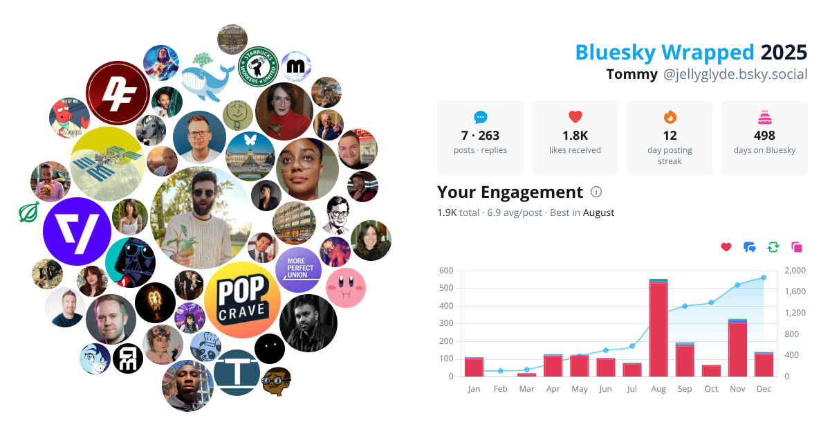 Your Bluesky Wrapped 2025 preview