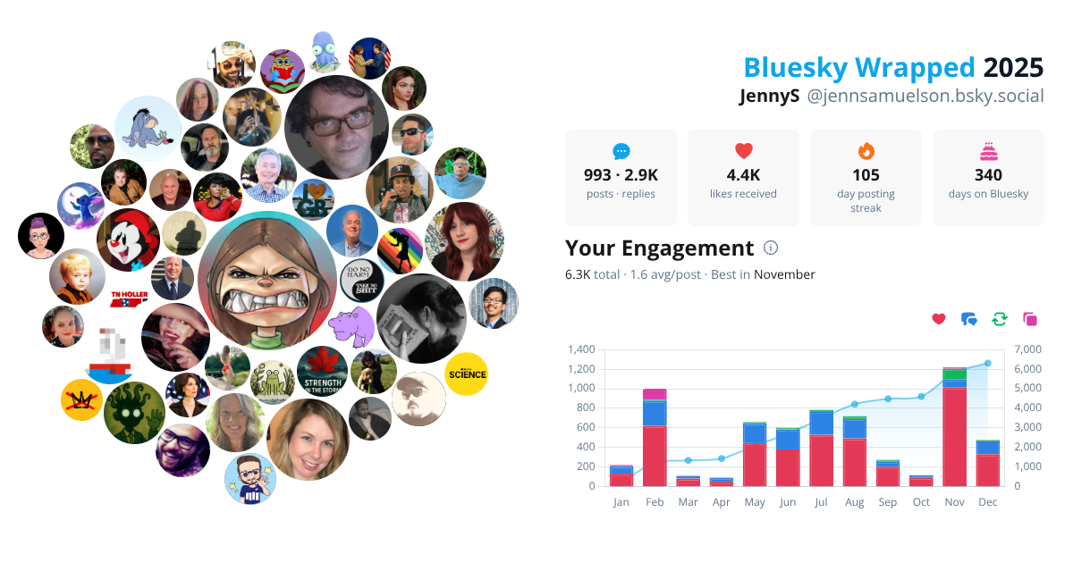 Your Bluesky Wrapped 2025 preview