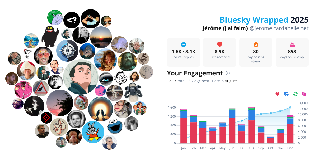 Your Bluesky Wrapped 2025 preview