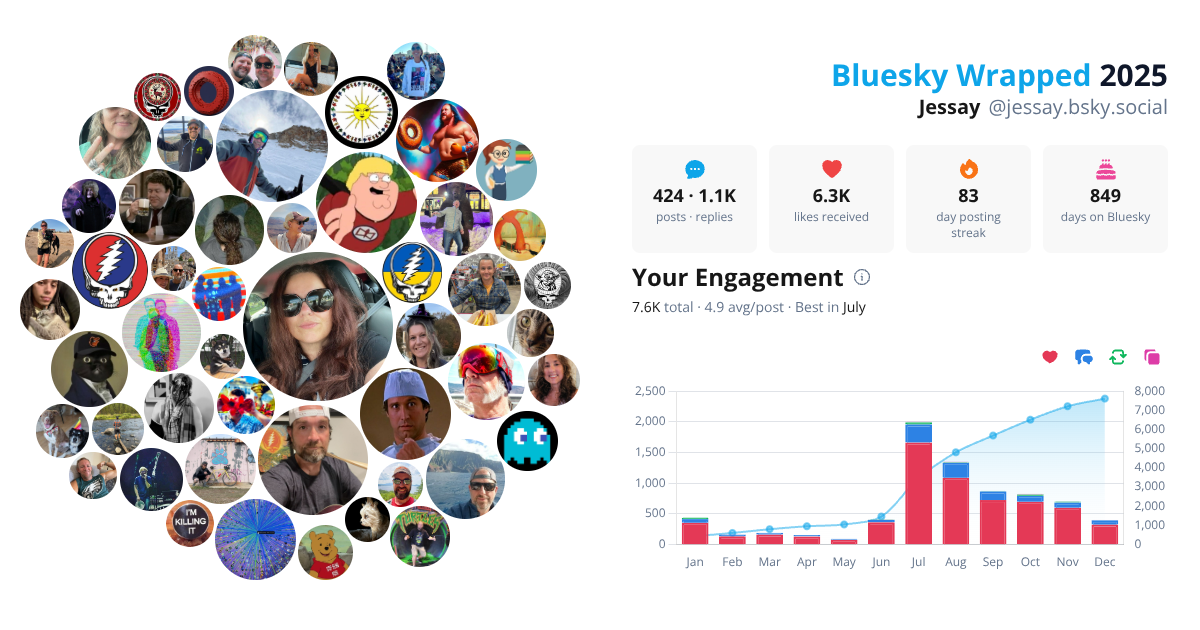 Your Bluesky Wrapped 2025 preview