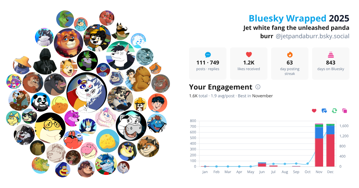 Your Bluesky Wrapped 2025 preview