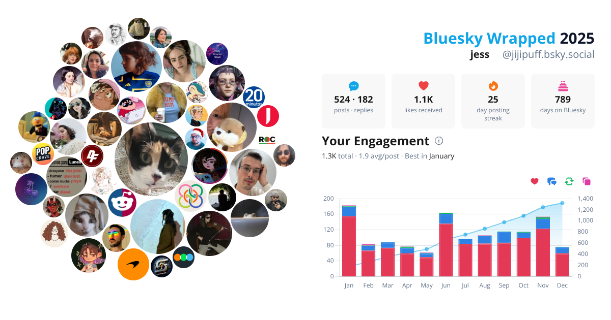 Your Bluesky Wrapped 2025 preview