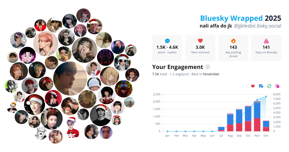 Your Bluesky Wrapped 2025 preview