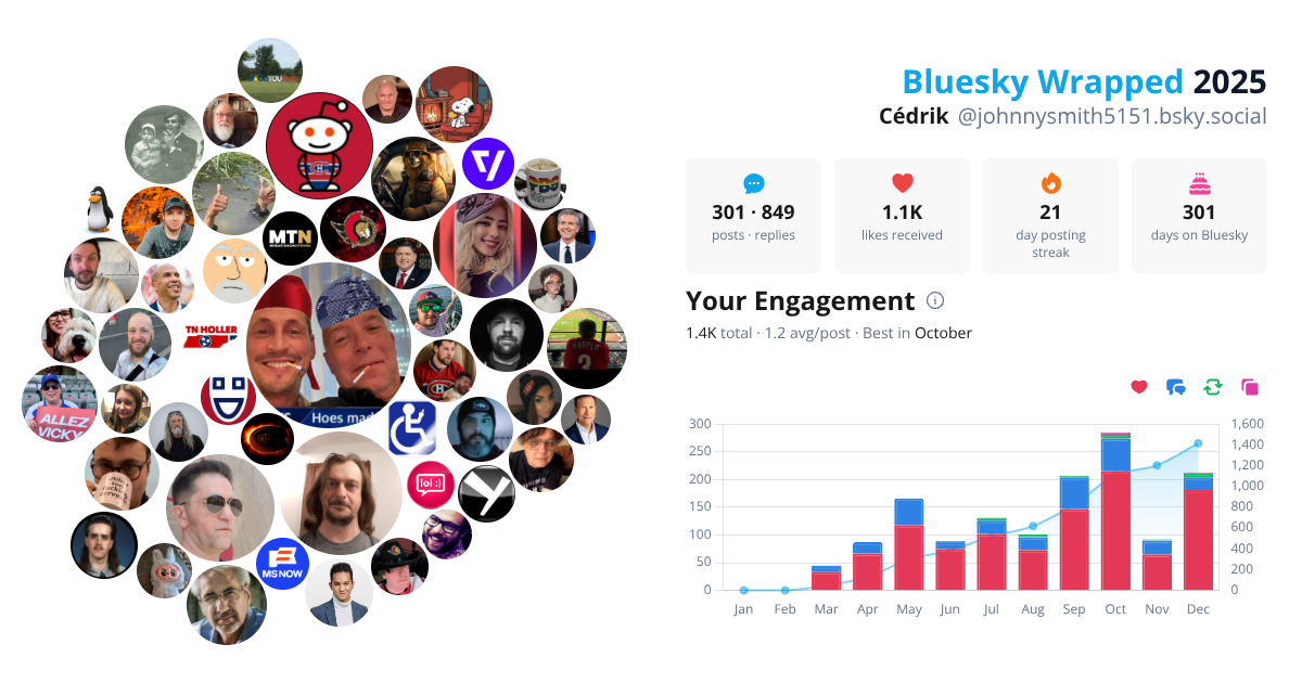Your Bluesky Wrapped 2025 preview