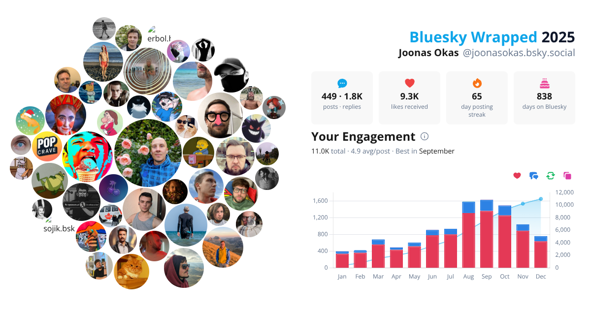 Your Bluesky Wrapped 2025 preview